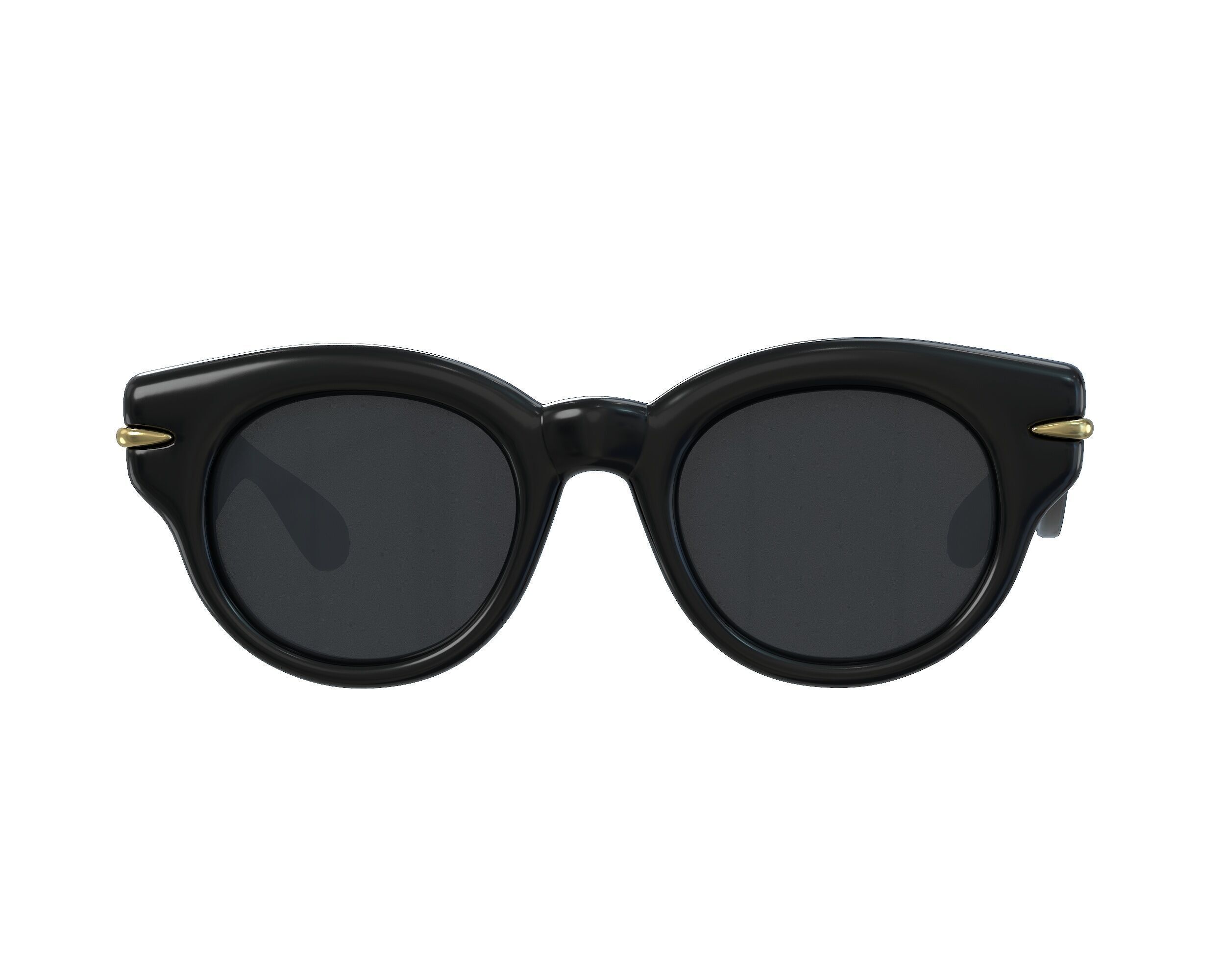 Loewe inflated Round Sunglasses Low-poly 3D model_10