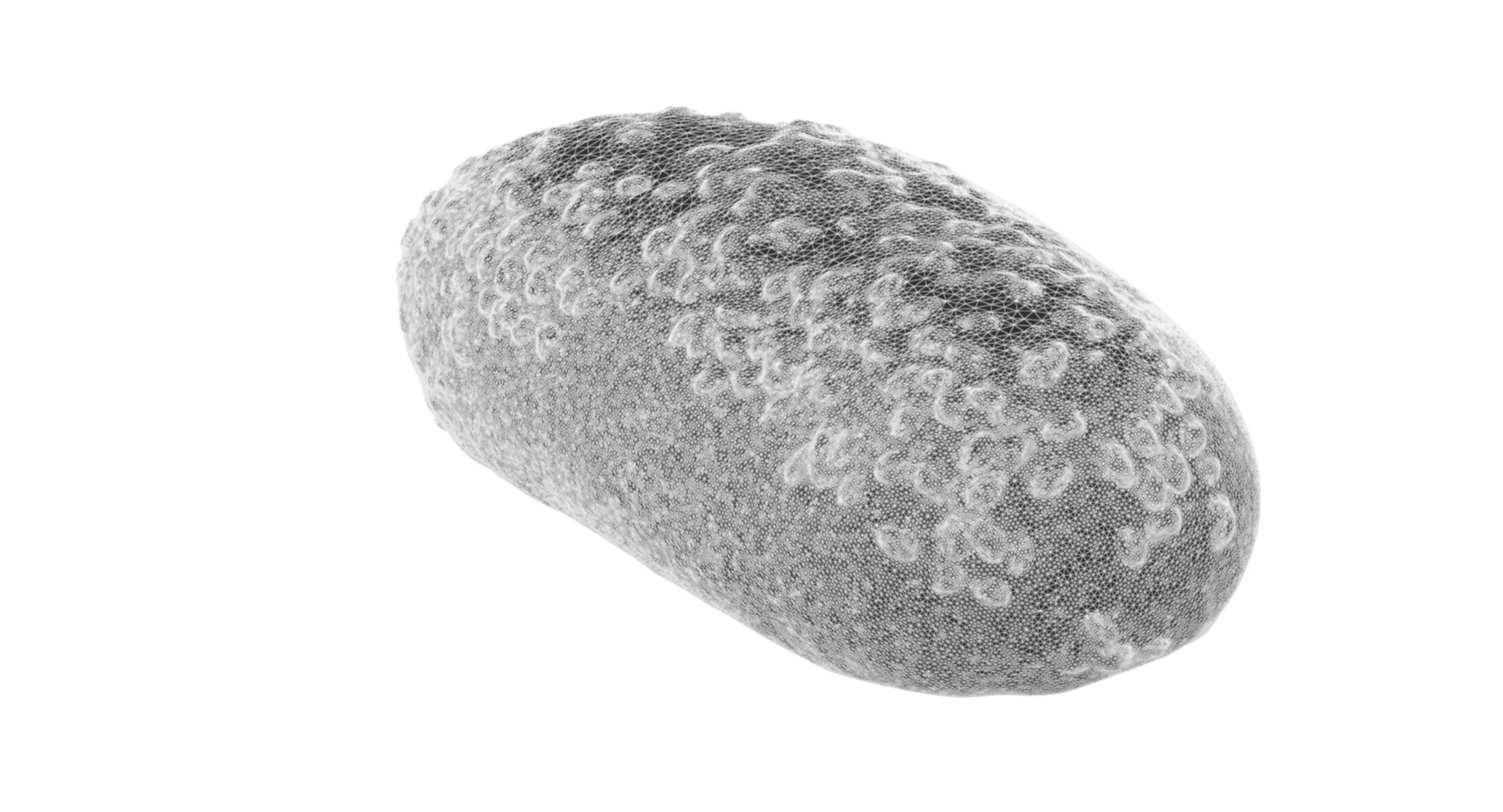 Bun With Sesame Seeds 3D model_6