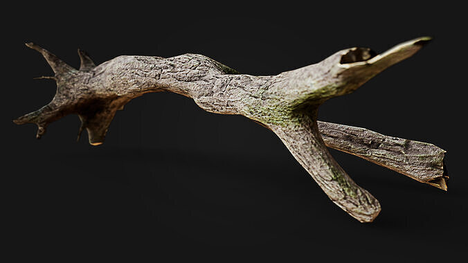 Fallen Tree Low-poly 3D model