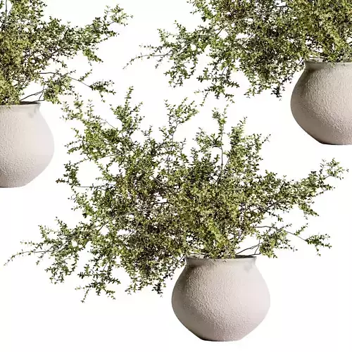 plants bouquet vase 46