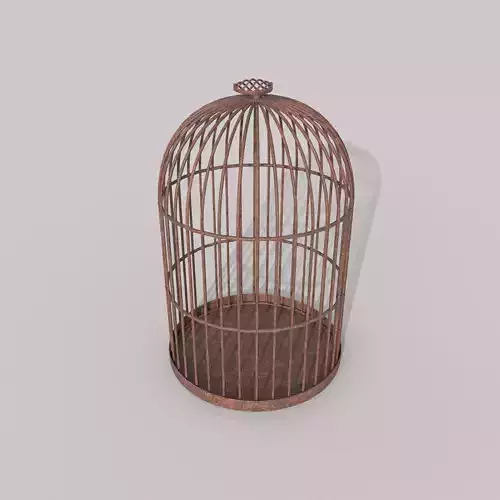 Round Rat Cage