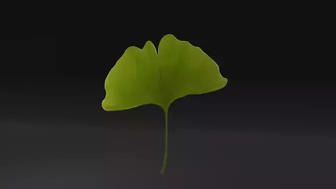 Ginkgo Leaf Symbol Low-poly 3D model