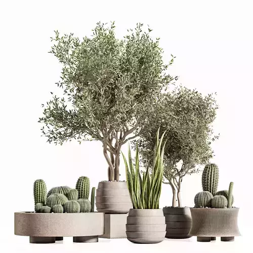 plant indoor stand 74 3D model