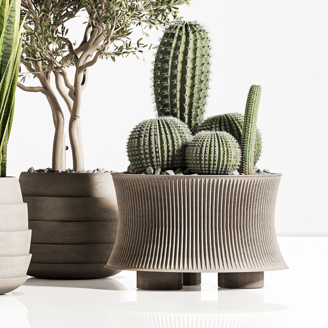 plant indoor stand 74 3D model_5