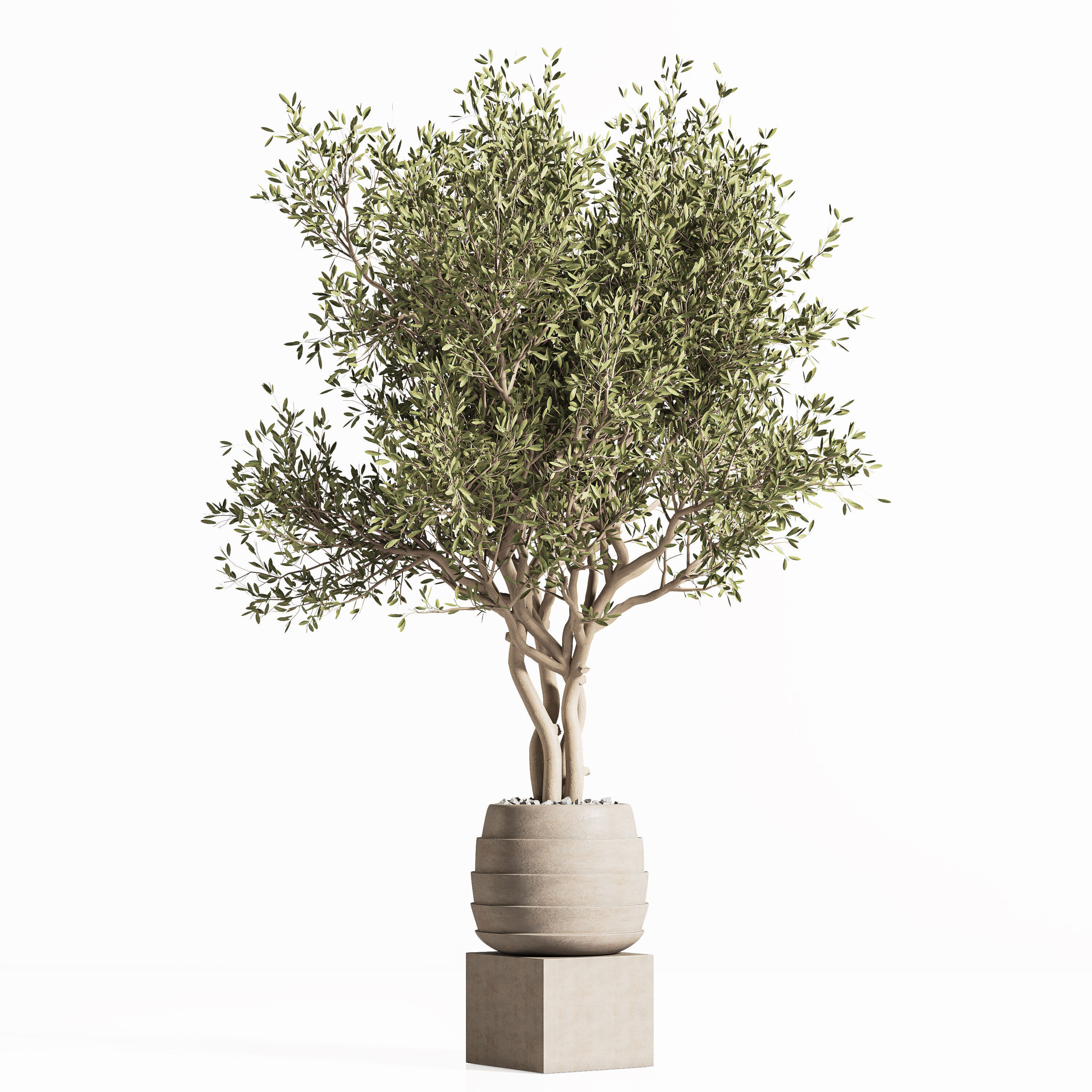 plant indoor stand 74 3D model_1
