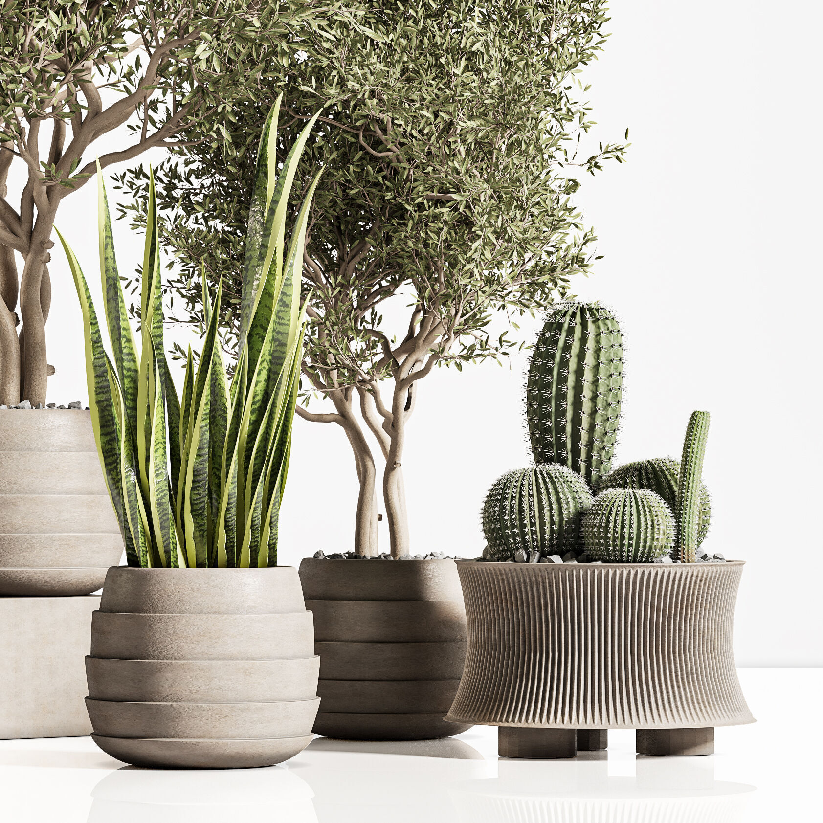 plant indoor stand 74 3D model_7