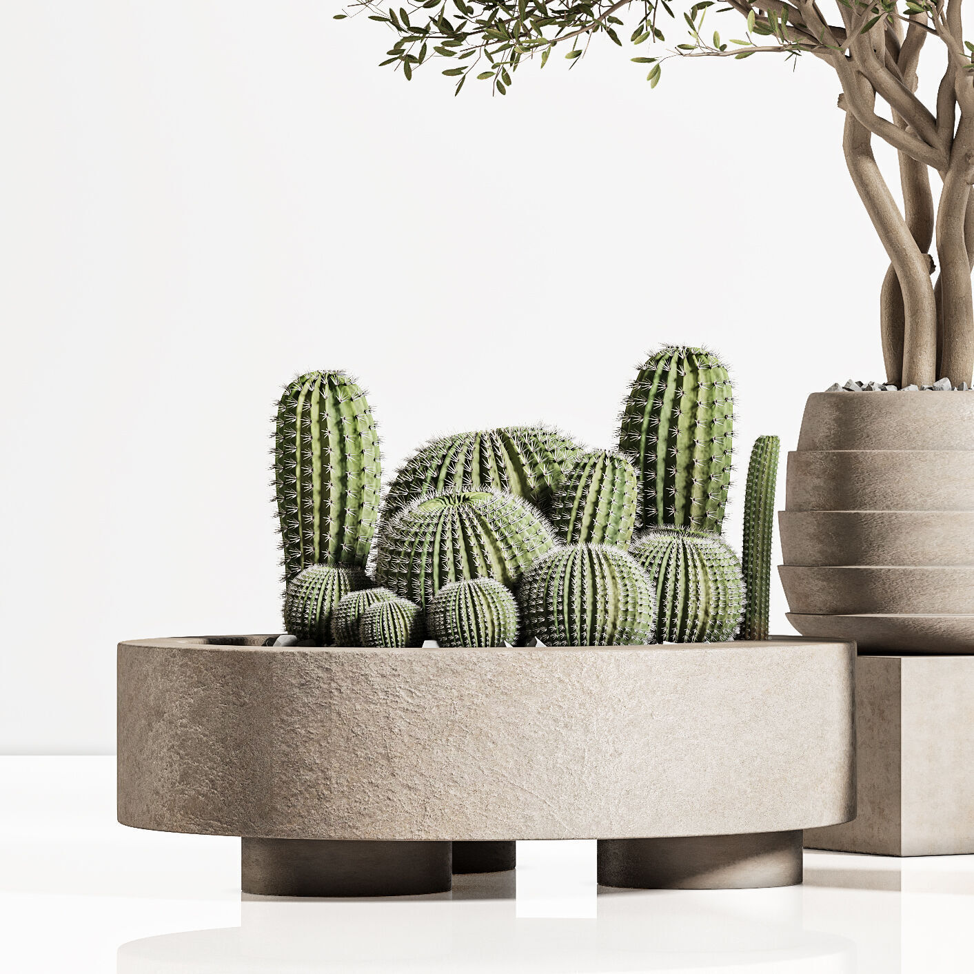 plant indoor stand 74 3D model_6