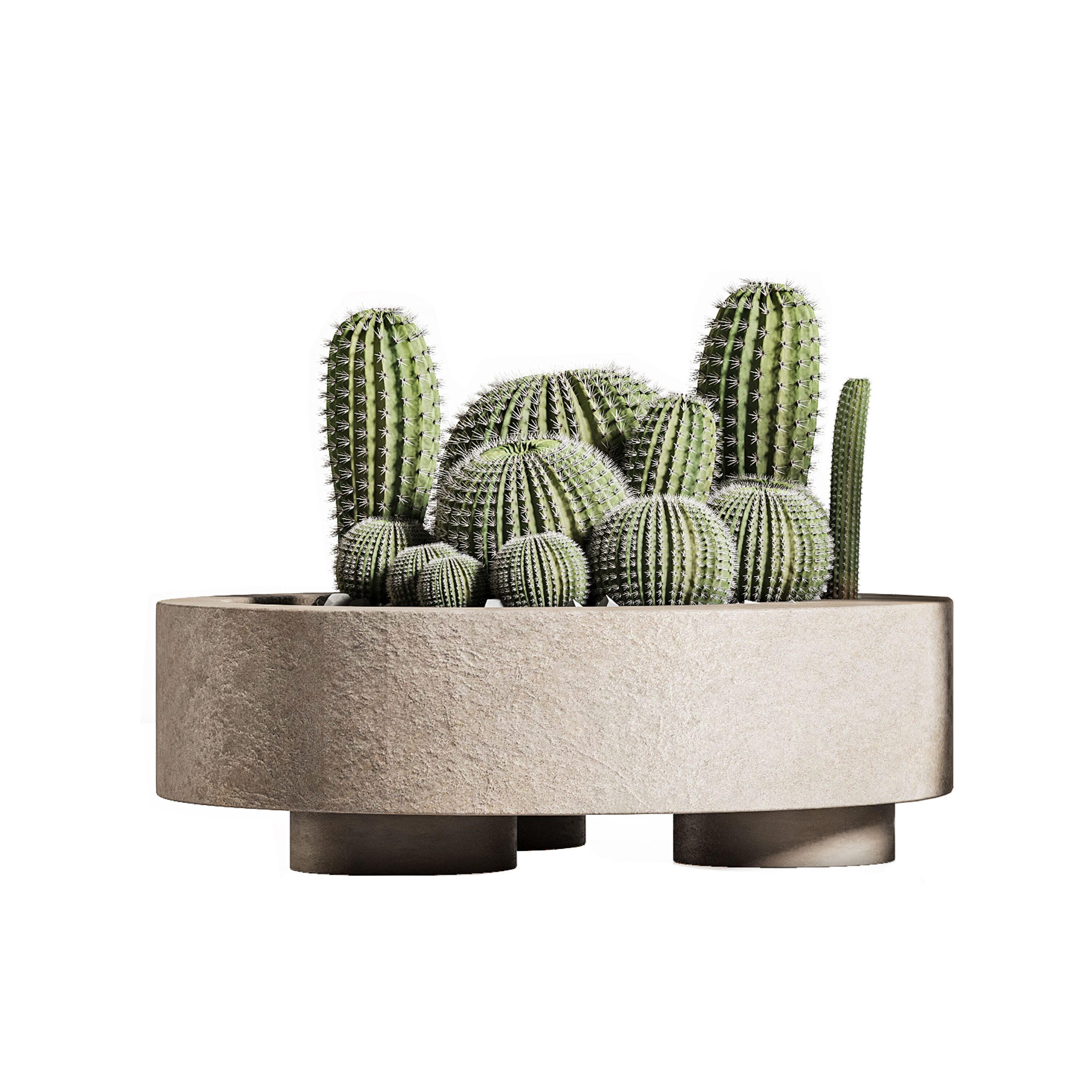 plant indoor stand 74 3D model_3