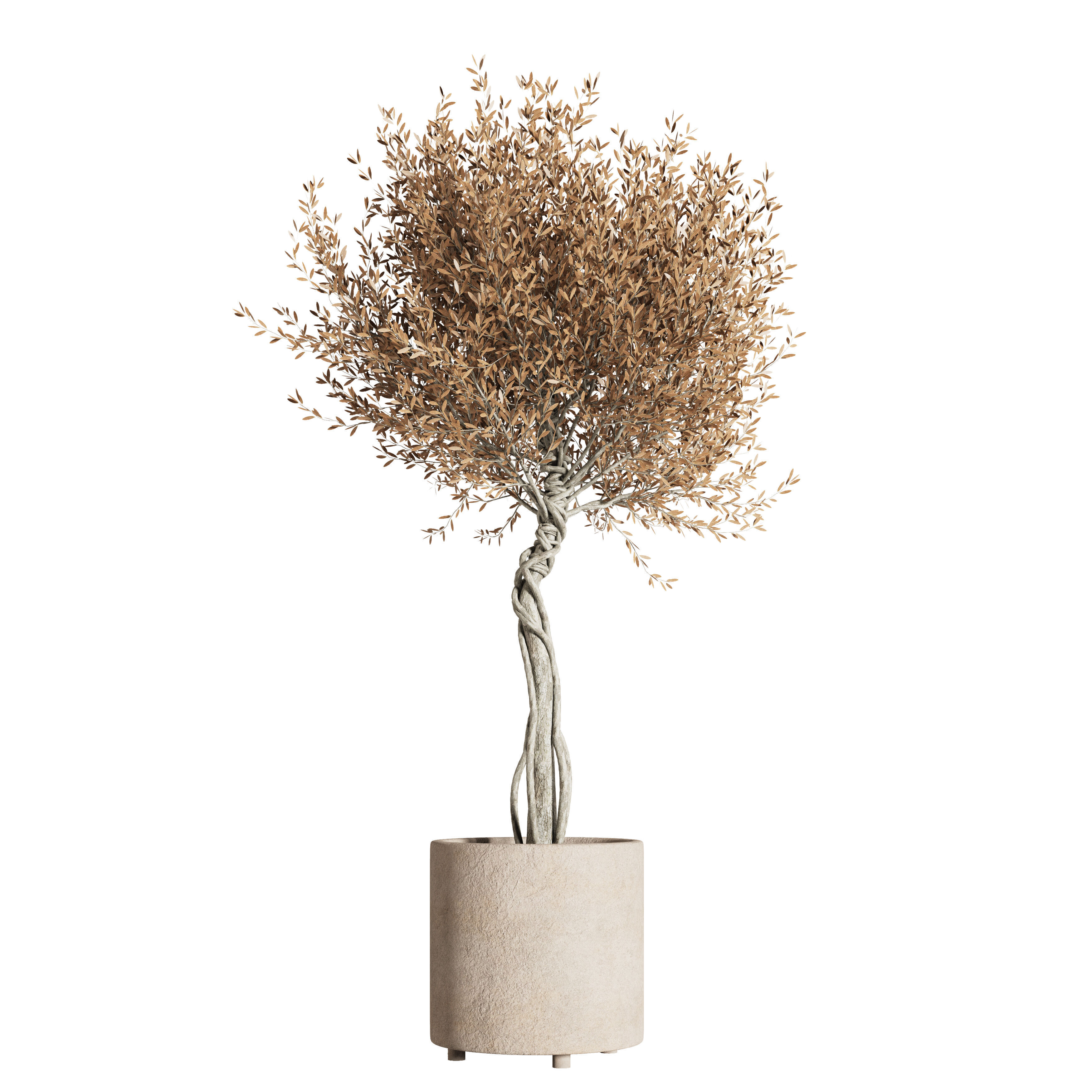 indoor plant stand 76 3D model_3