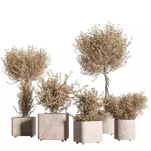 indoor plant stand 76 3D model