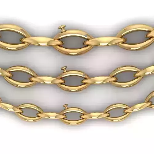 clasp Lock and Chain