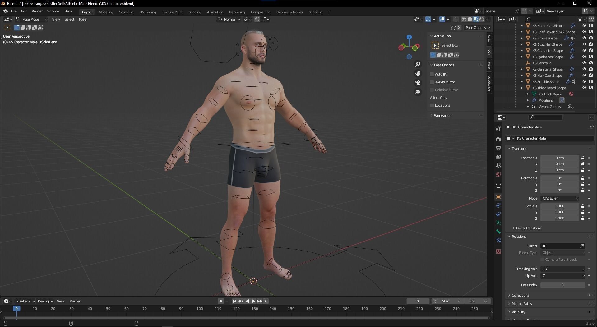 Advanced Realistic Base Game Character Rig Low-poly 3D model_13
