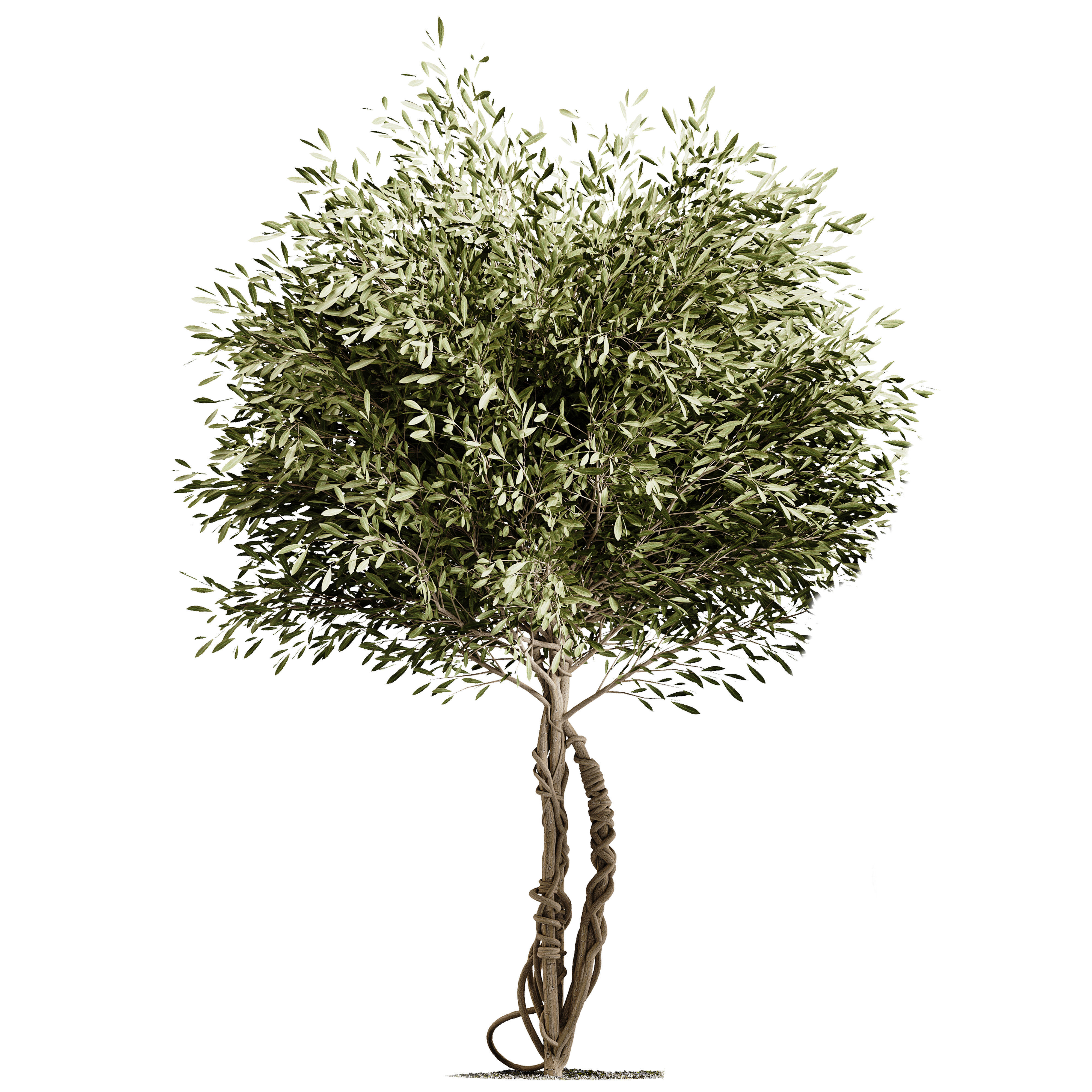 indoor plant stand 77 3D model_4