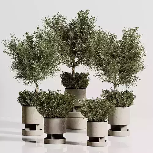 Indoor plant stant 79 3D model