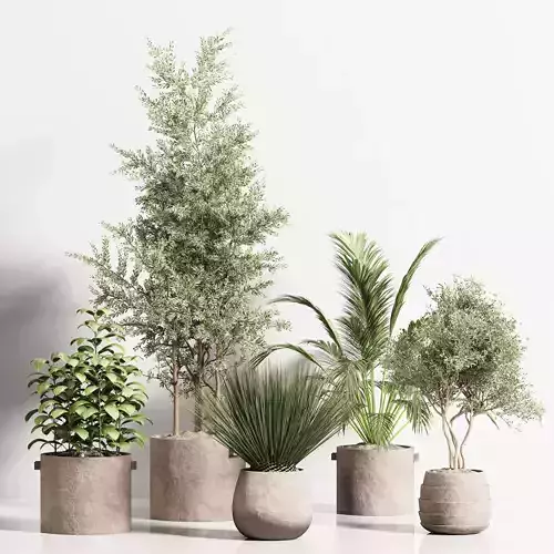 indoor plant stant 80