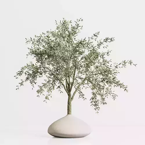 indoor plant stant 81