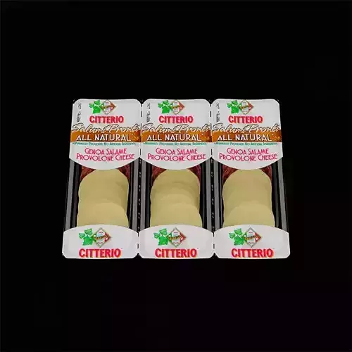 Sliced Salami and Cheese 3D model