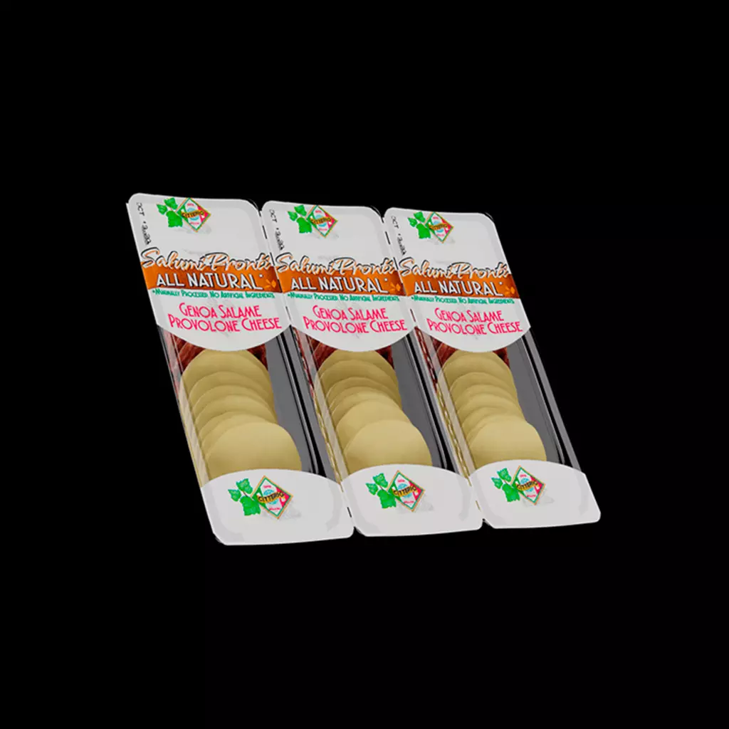 Sliced Salami and Cheese 3D model