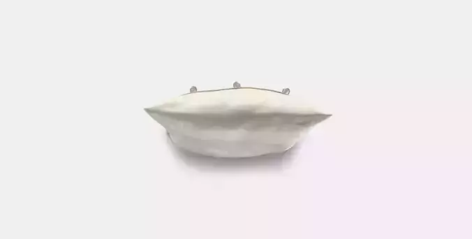 AINA Cushion cover 1