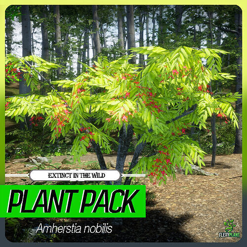 Extinct in the Wild Plant - 4 Amherstia nobilis Flower Tree Low-poly 3D model