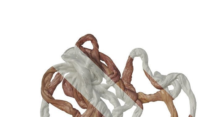 Anydrafts Pork intestines 02 Texture 3