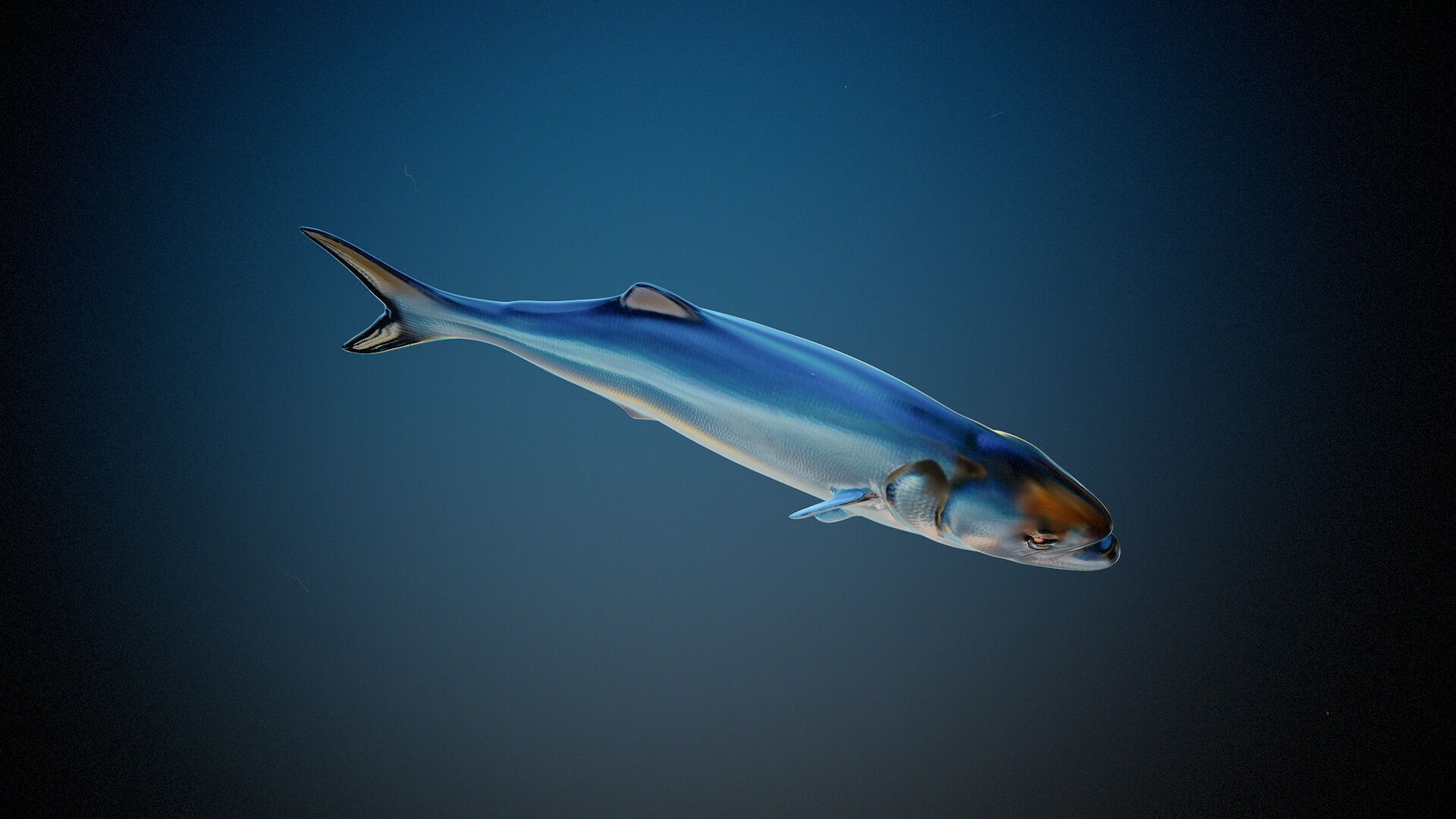 Fish PBR animation rigging Low-poly 3D model_3