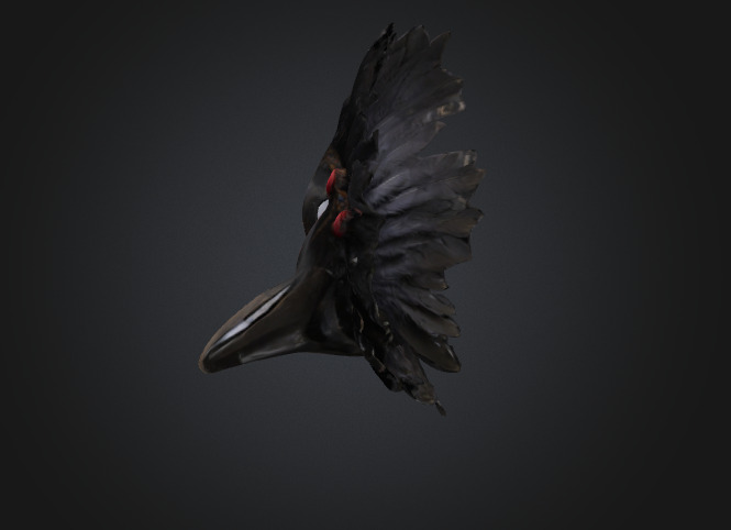 Raven Mask 3D model_4