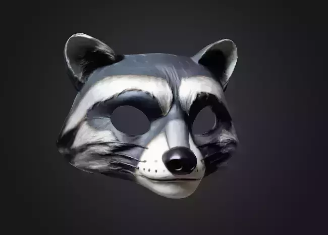 Racoon Mask