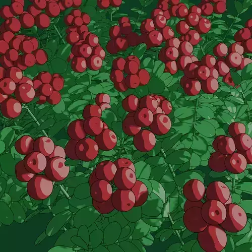 Anime Stylised Cranberry