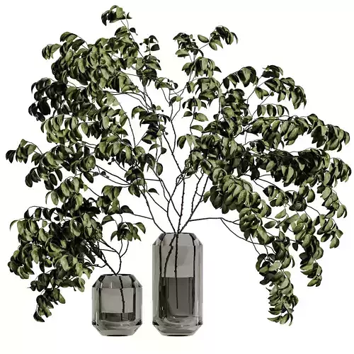 plants bouquet vase 47