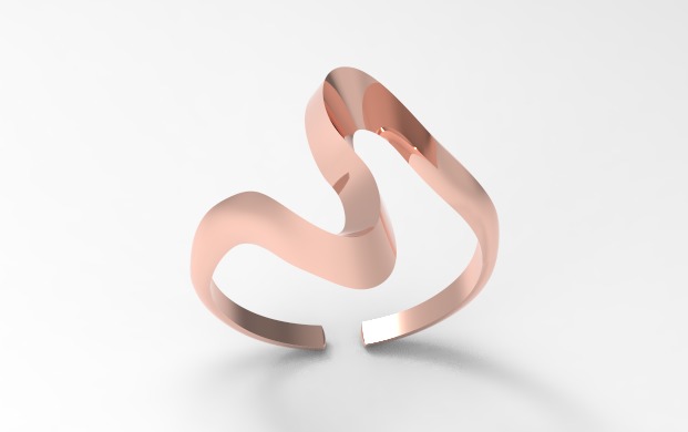 5 Minimal Rings - Pack 3D Model Collection _10