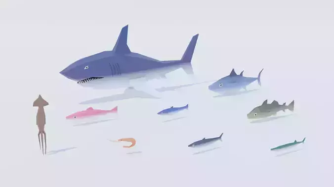 Pack of 9 Marine Species Low Poly Low-poly 3D model