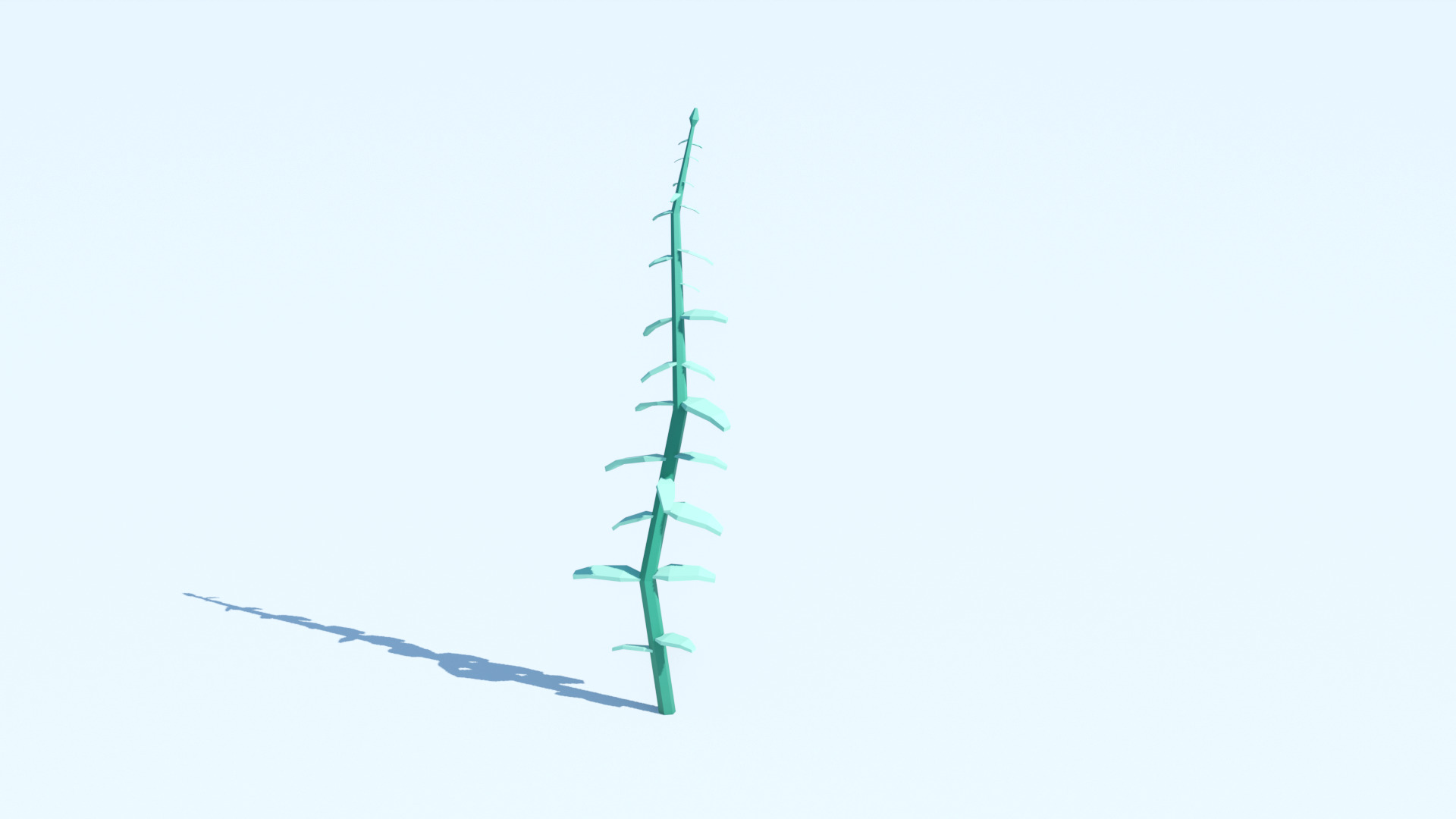 Pack of 8 Corals and Marine Plants Low-poly 3D model_8