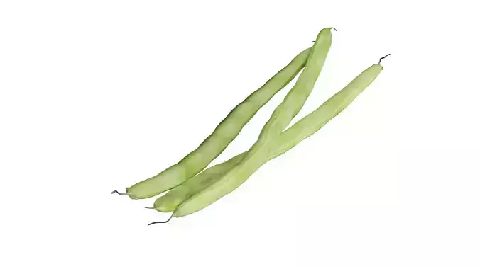 Beans Rigged Low-poly 3D model