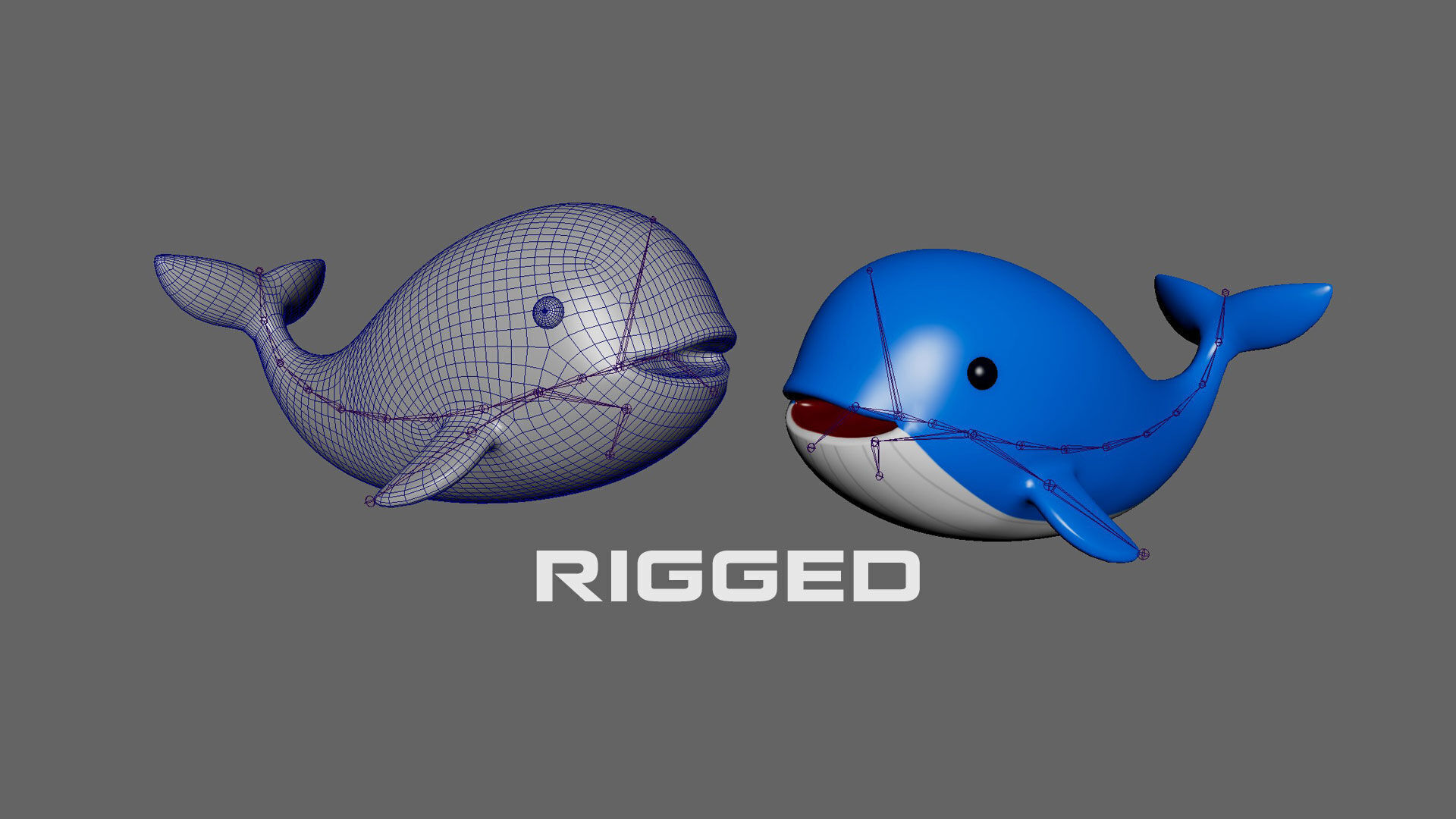 Low - Poly Cartoon Whale Rigged Low-poly 3D model_2