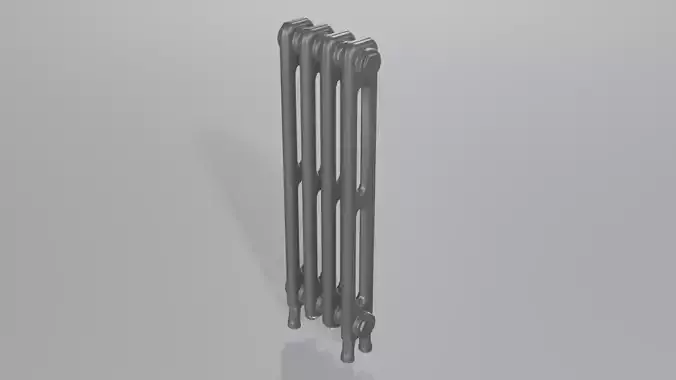 Classic Cast Iron Radiator 2C4