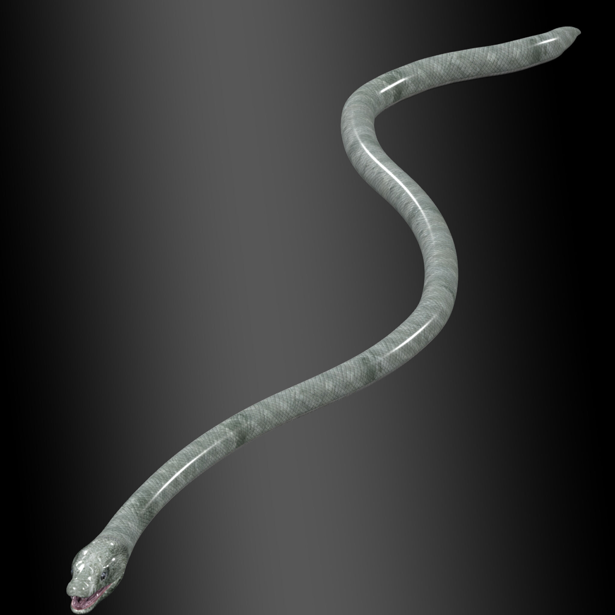 Black Mamba Snake Rig 3D model_6