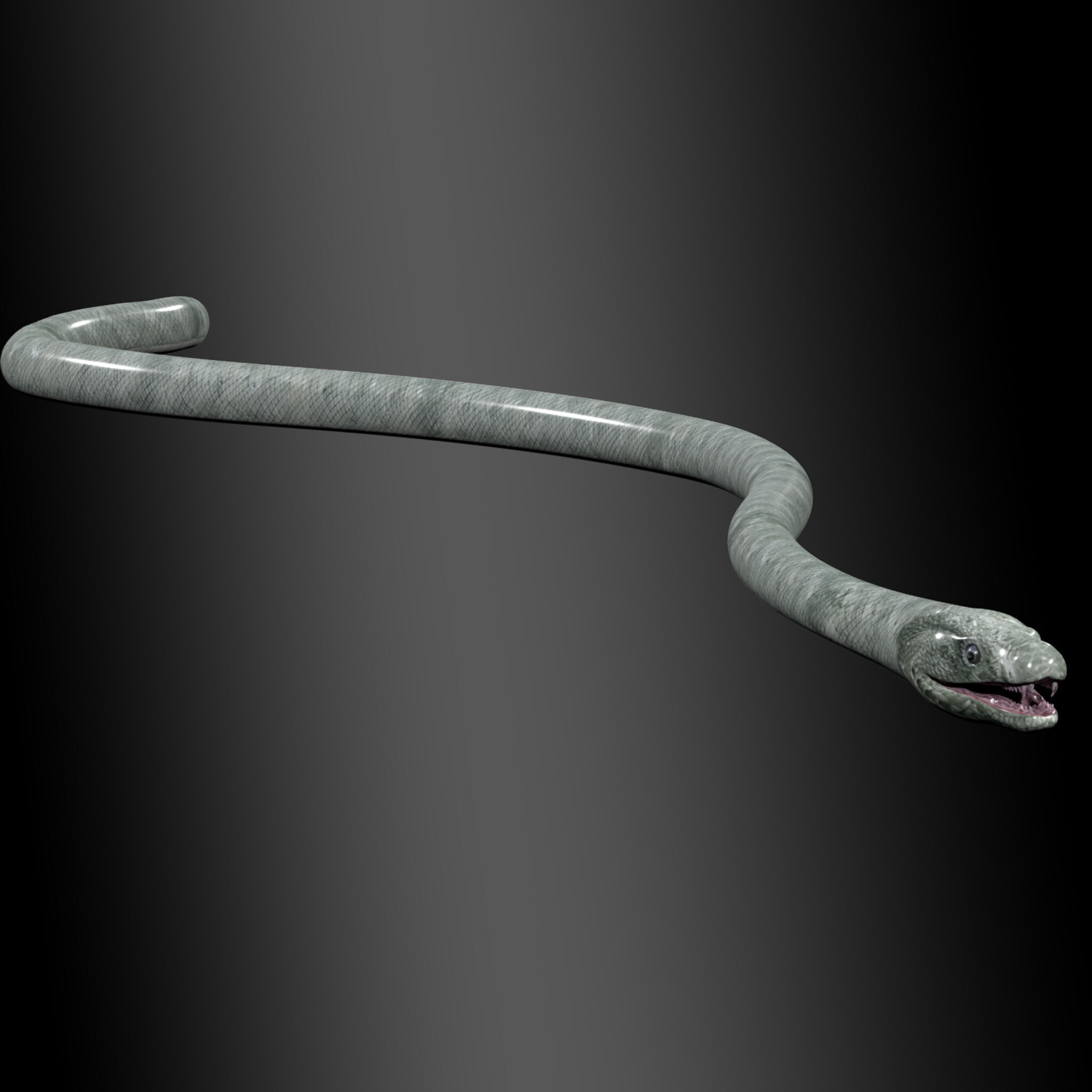 Black Mamba Snake Rig 3D model_1
