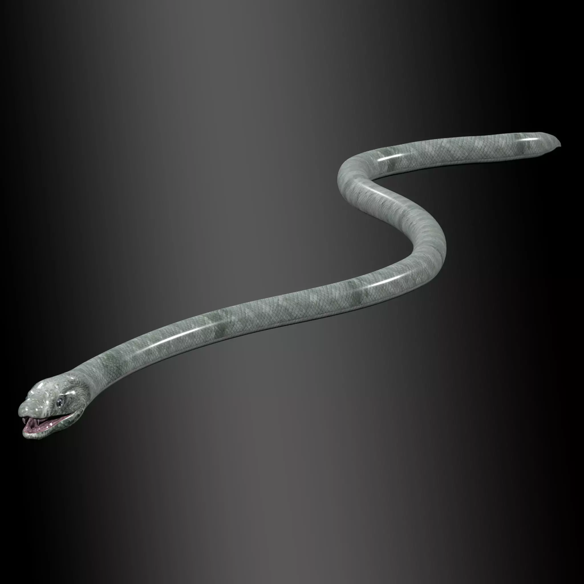 Black Mamba Snake Rig 3D model_0