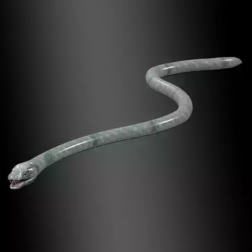 Black Mamba Snake Rig 3D model
