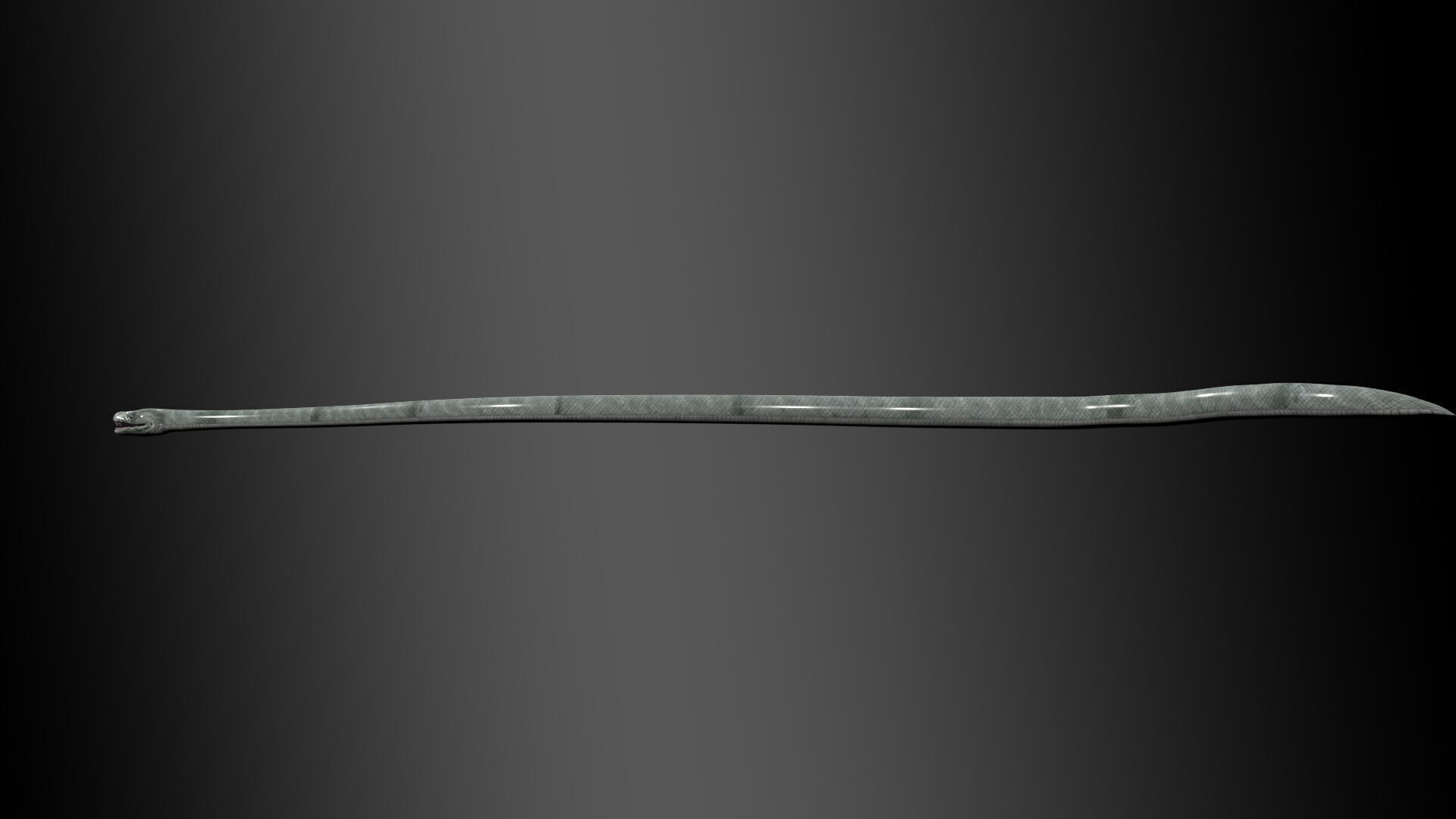 Black Mamba Snake Rig 3D model_3