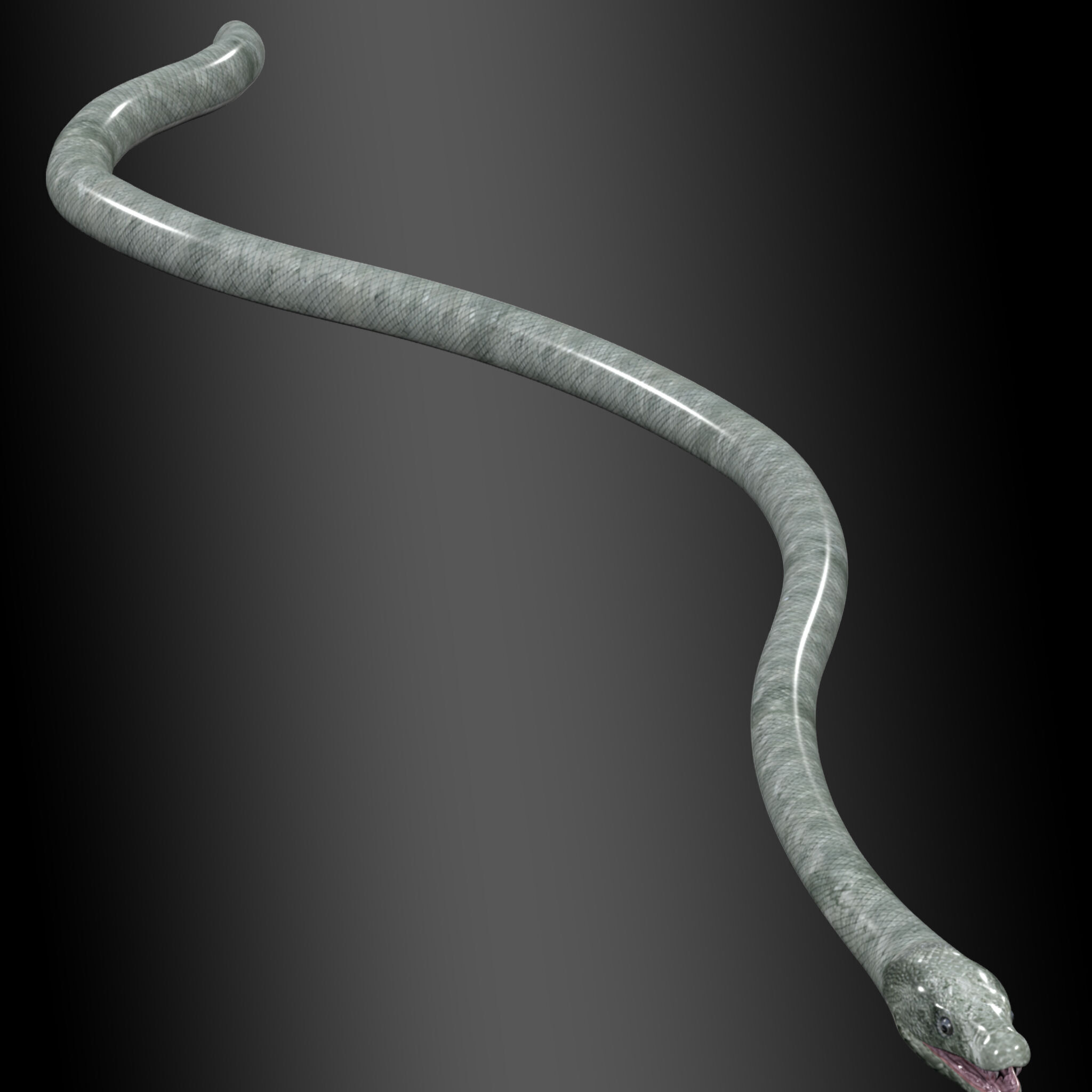 Black Mamba Snake Rig 3D model_5