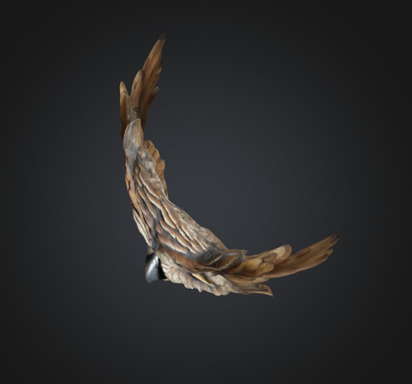 Owl Mask 3D model_3