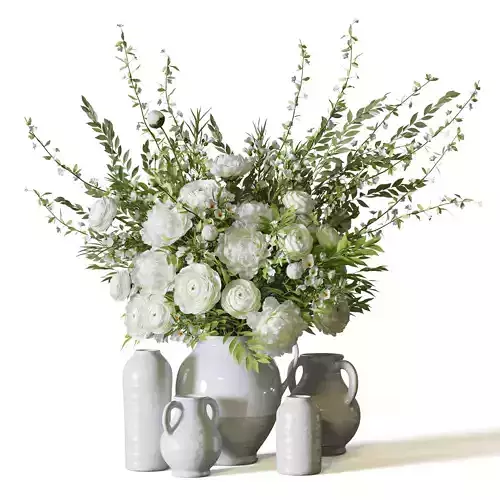 Flower Set 086 ranunculus