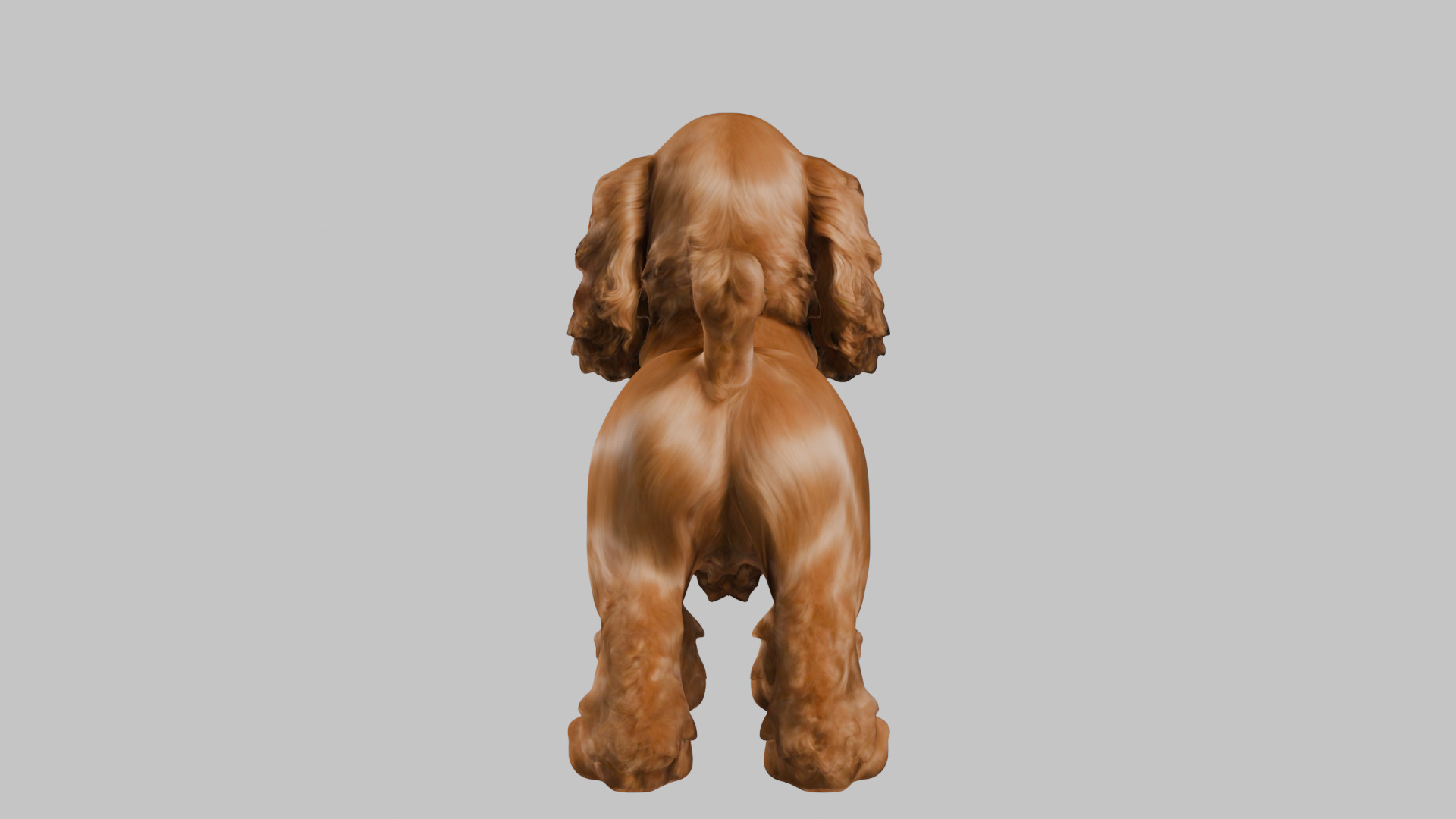 Realistic Cocker Spaniel 3D Model - High-Quality Dog Asset Low-poly 3D model_15
