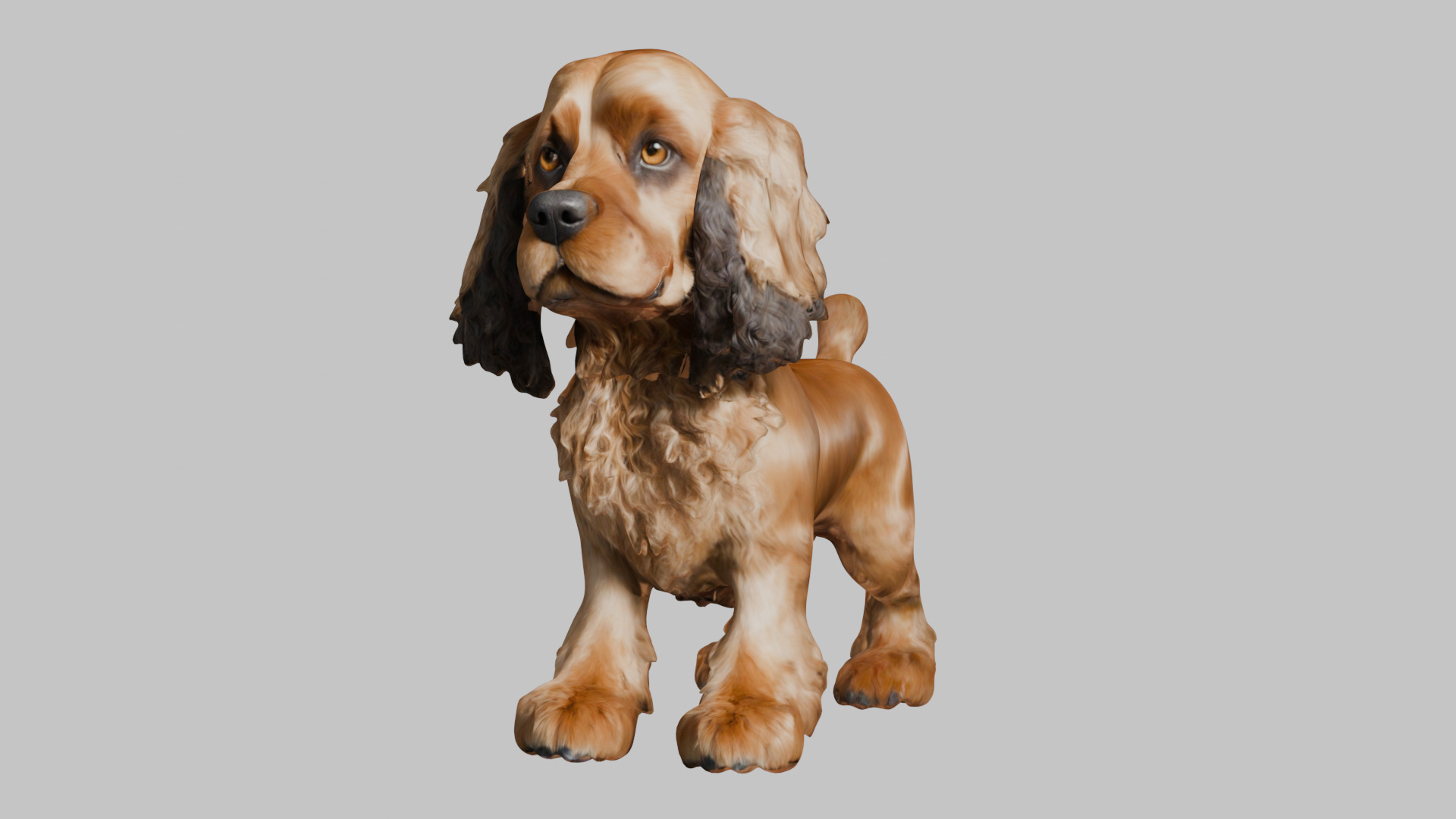 Realistic Cocker Spaniel 3D Model - High-Quality Dog Asset Low-poly 3D model_7
