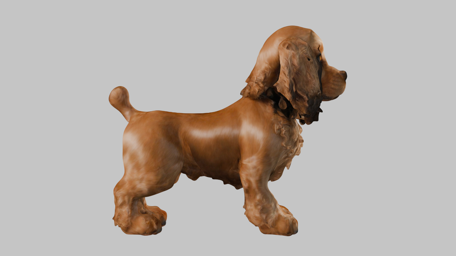 Realistic Cocker Spaniel 3D Model - High-Quality Dog Asset Low-poly 3D model_11
