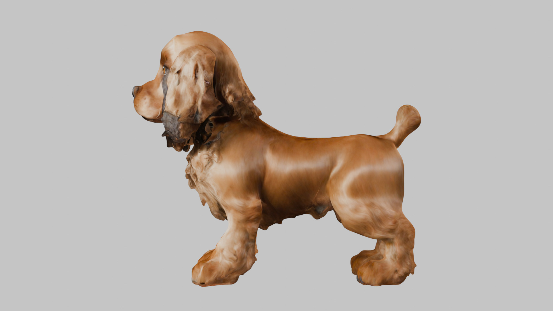 Realistic Cocker Spaniel 3D Model - High-Quality Dog Asset Low-poly 3D model_4