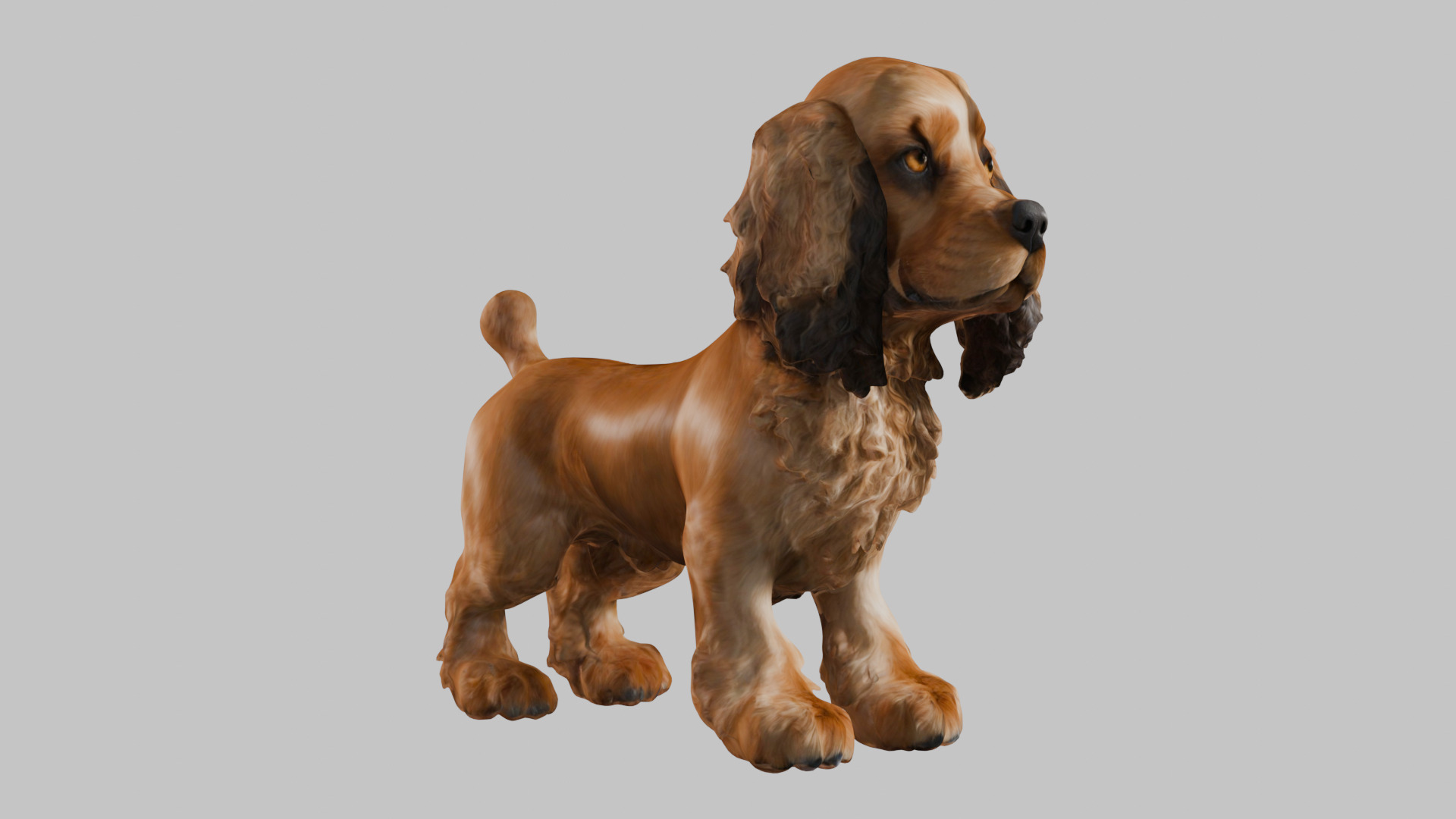 Realistic Cocker Spaniel 3D Model - High-Quality Dog Asset Low-poly 3D model_9