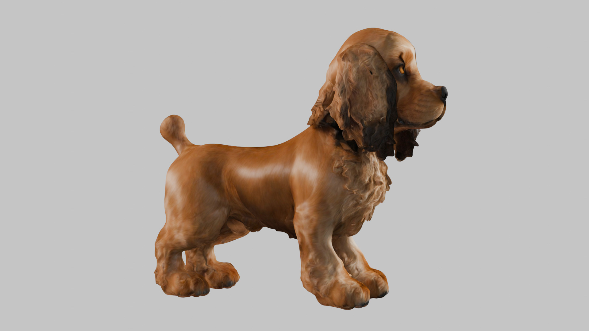 Realistic Cocker Spaniel 3D Model - High-Quality Dog Asset Low-poly 3D model_10